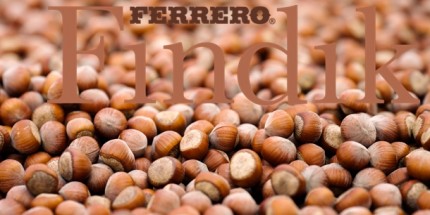 FERRERO Yeni Dönem Hedeflerini Açıkladı 